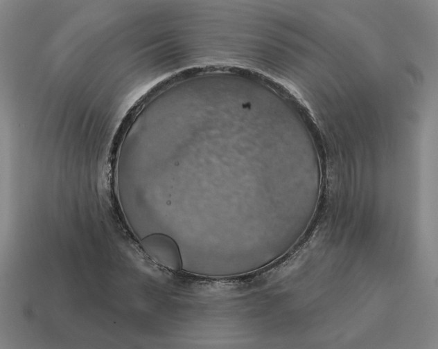 X0000114420879200911061620