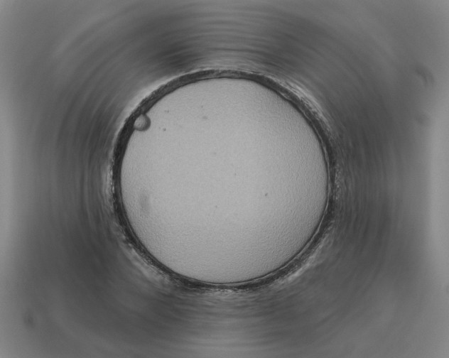 X0000114420880200911061620