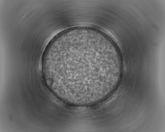 X0000114420883200911061620