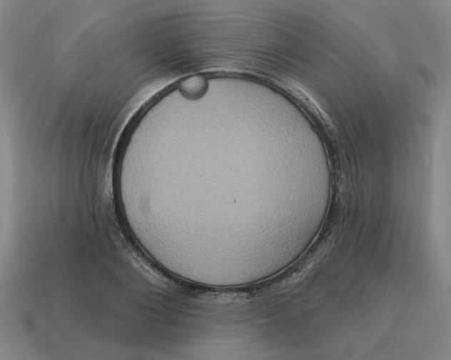 X0000114420884200911061620