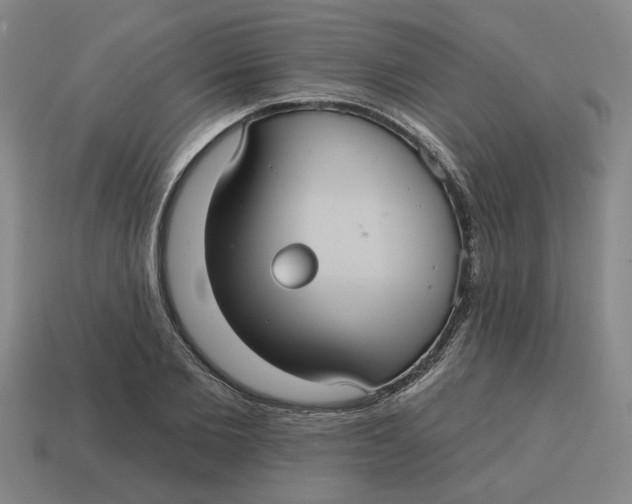 X0000114420885200911061620