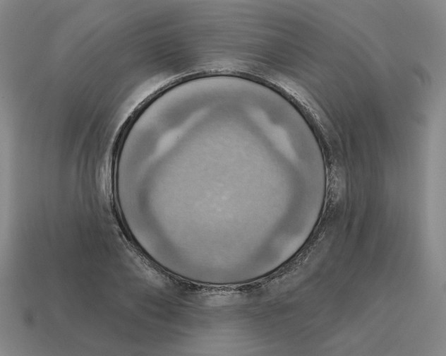 X0000114420886200911061620