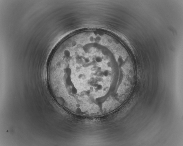 X0000114420887200911061620