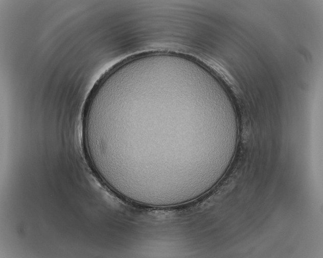 X0000114420888200911061620