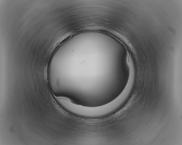 X0000114420889200911061620