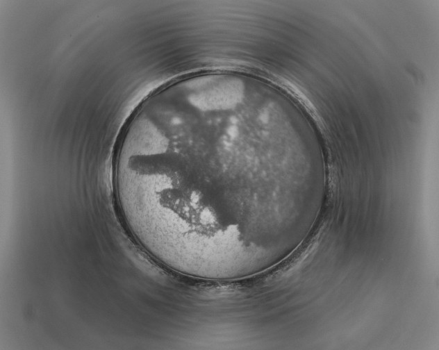 X0000114420891200911061620
