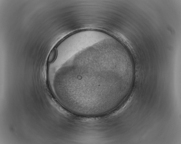X0000114420892200911061620