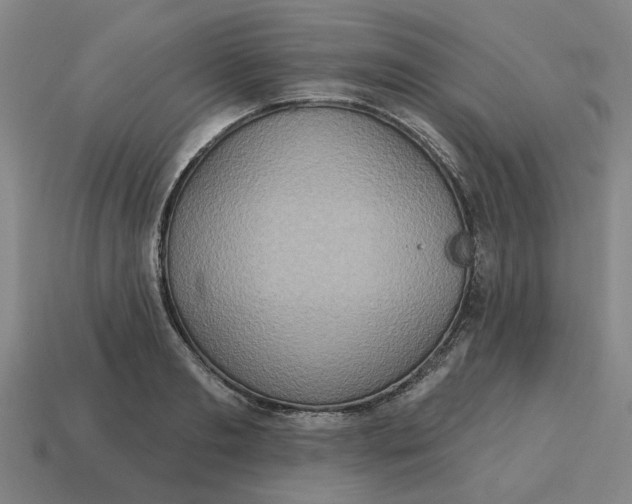 X0000114420893200911061620