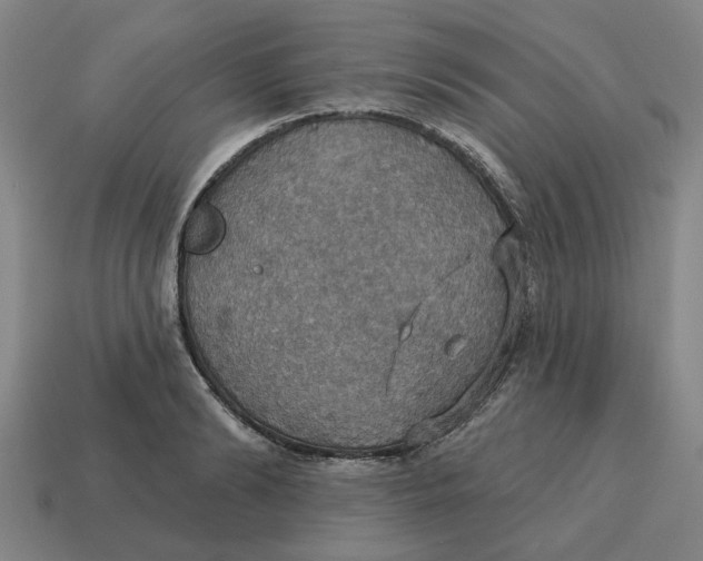 X0000114420894200911061620