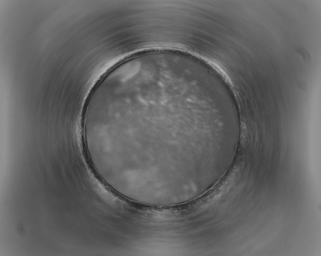 X0000114420895200911061620