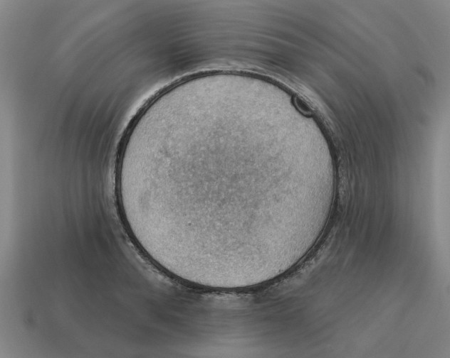 X0000114420896200911061620