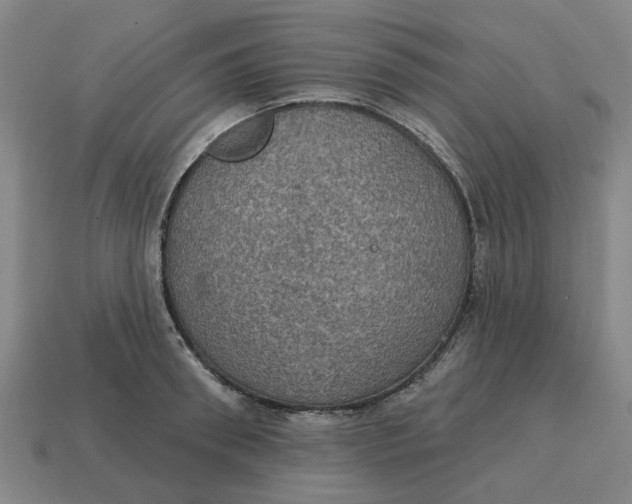 X0000114420898200911061620