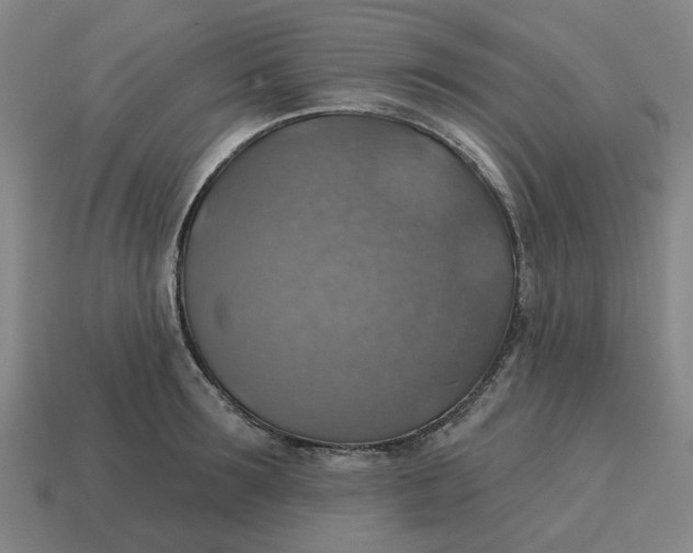 X0000114420899200911061620