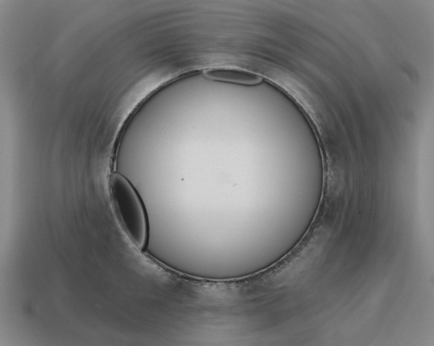 X0000114420901200911061620