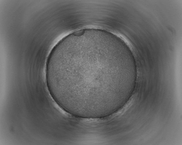 X0000114420902200911061620