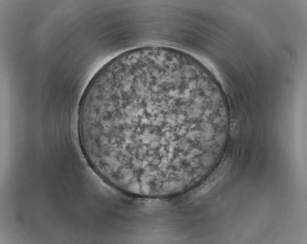X0000114420903200911061620