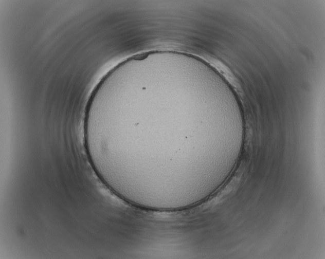 X0000114420904200911061620