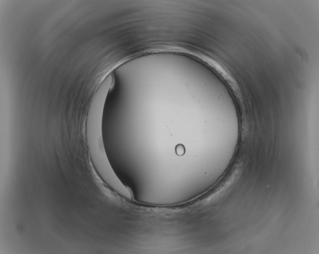 X0000114420905200911061620