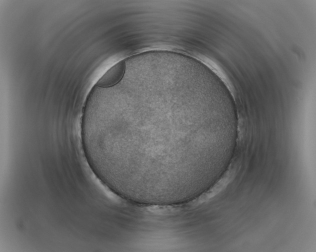X0000114420906200911061620