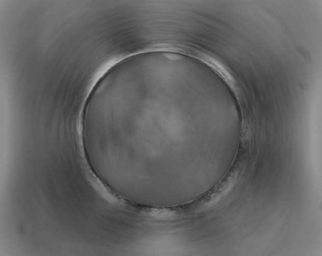 X0000114420907200911061620