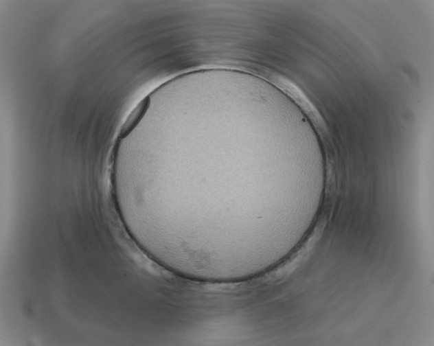 X0000114420908200911061620