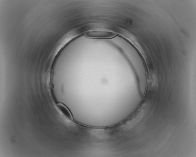 X0000114420909200911061620
