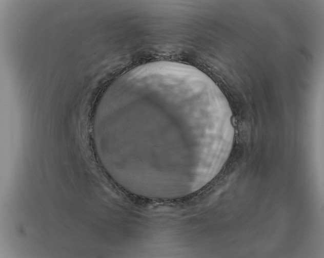 X0000114420913200911061619