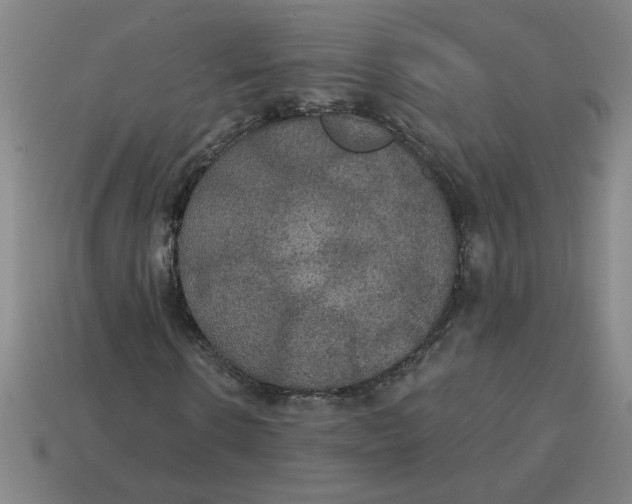 X0000114420914200911061619