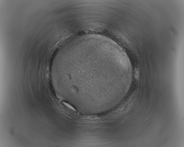 X0000114420915200911061619