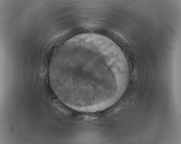 X0000114420917200911061619