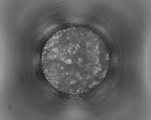 X0000114420918200911061619