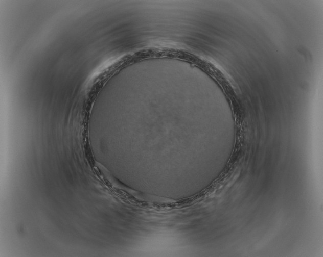 X0000114420919200911061619