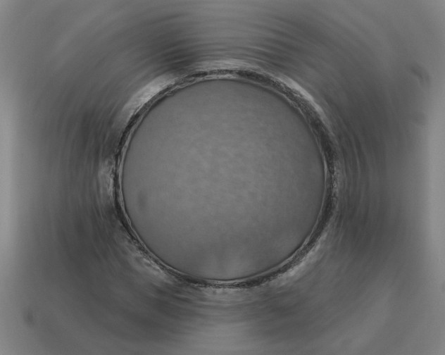 X0000114420921200911061619