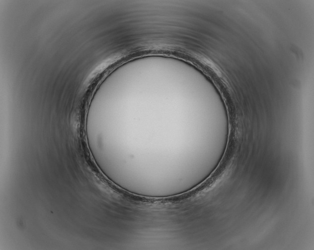 X0000114420922200911061619