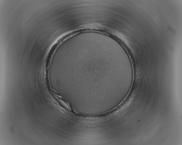 X0000114420923200911061619