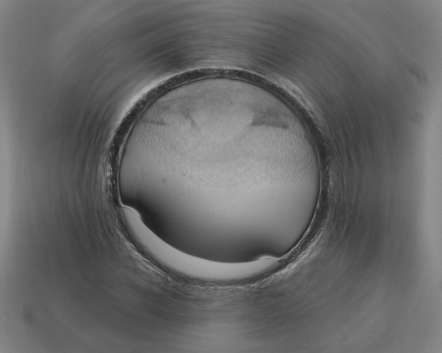X0000114420926200911061619