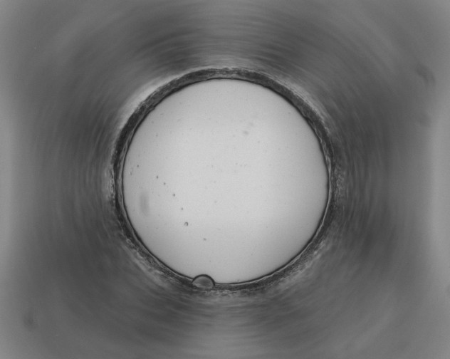 X0000114420927200911061619