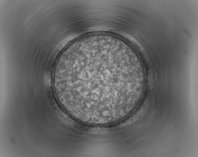 X0000114420929200911061619