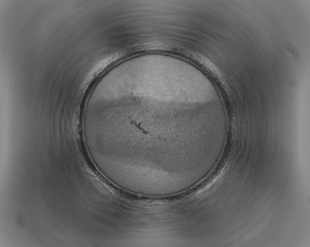 X0000114420930200911061619