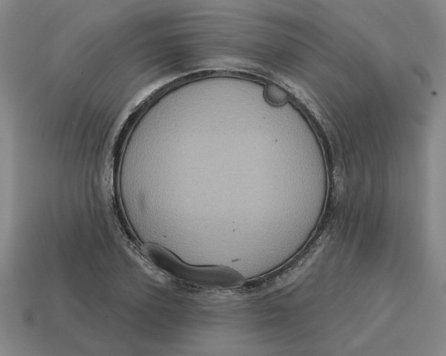 X0000114420931200911061619
