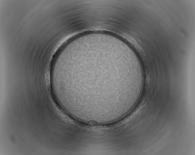 X0000114420934200911061619