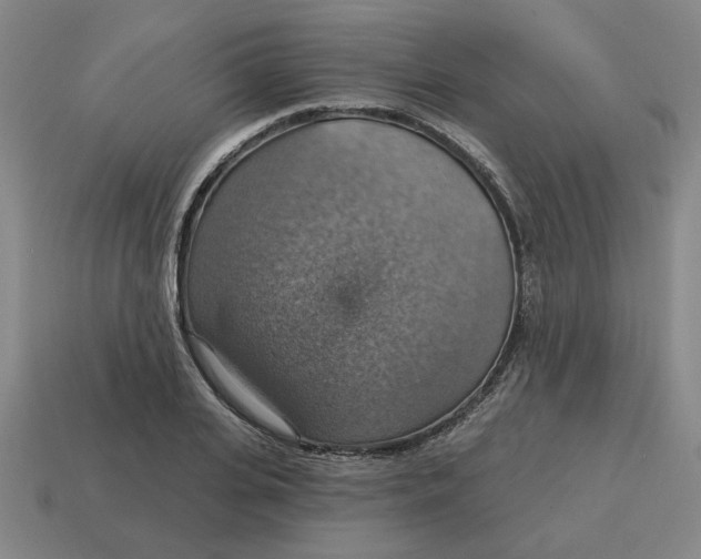 X0000114420935200911061619