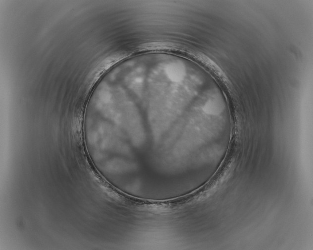 X0000114420937200911061619