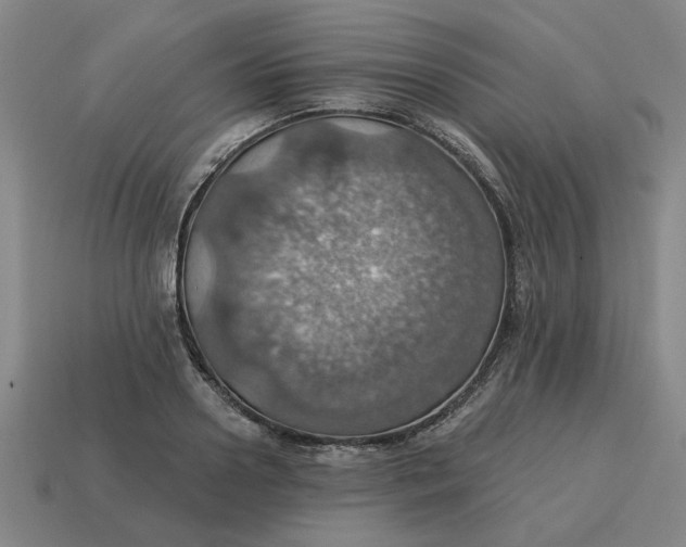 X0000114420938200911061619