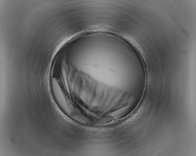 X0000114420941200911061619