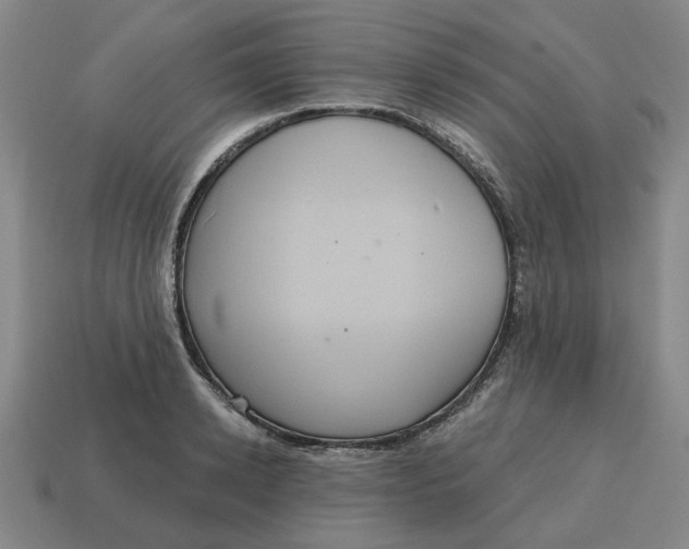 X0000114420942200911061619