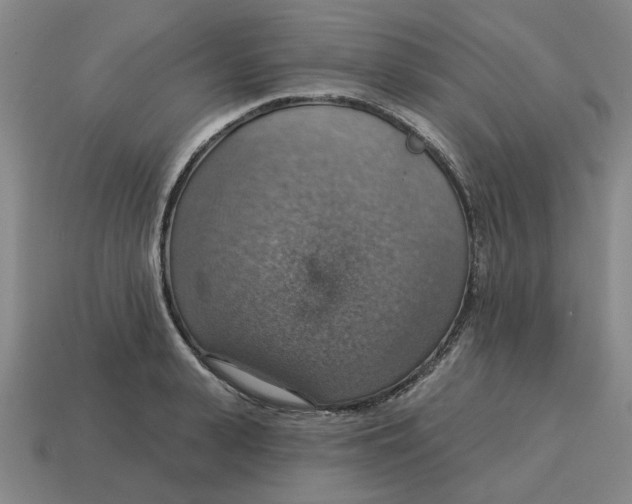 X0000114420943200911061619