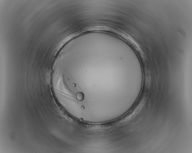 X0000114420945200911061619
