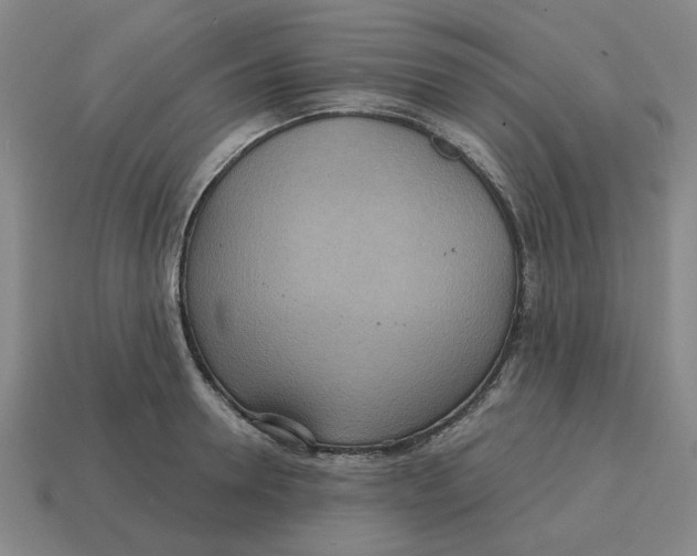 X0000114420946200911061619