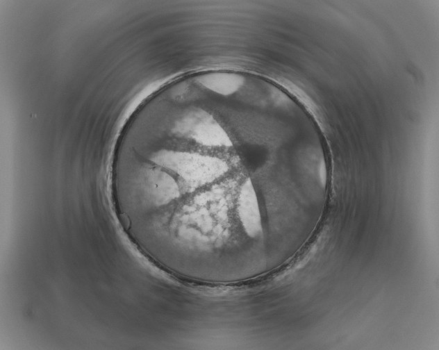 X0000114420949200911061619